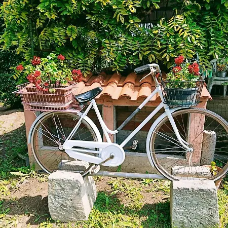 Nonna Tella Holiday home Collemezzano